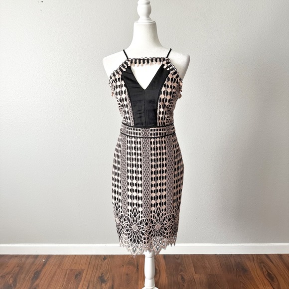 Harlyn Blush & Black Lace Overlay Sheath Cocktail Dress Scallop Hem Size Medium - Picture 2 of 15